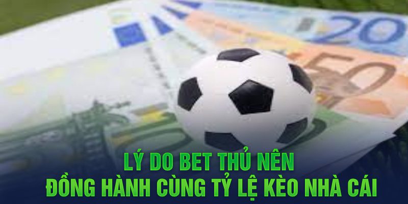 Lý do bet thủ nên đồng hành cùng Tỷ Lệ Kèo Nhà Cái