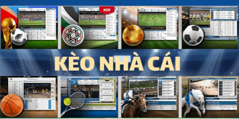 Tìm hiểu về tỷ lệ kèo nhà cái hôm nay cho game thủ