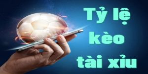 Tỷ lệ kèo tài xỉu trong cá độ bóng đá là gì?